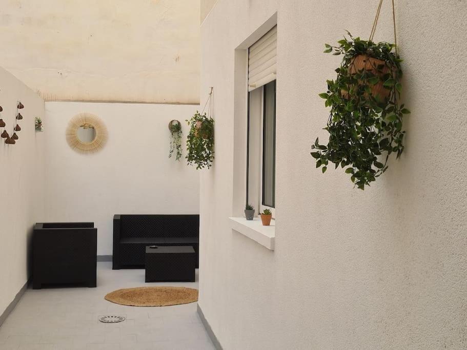Beautiful Apartment With Patio Torrevieja Eksteriør billede