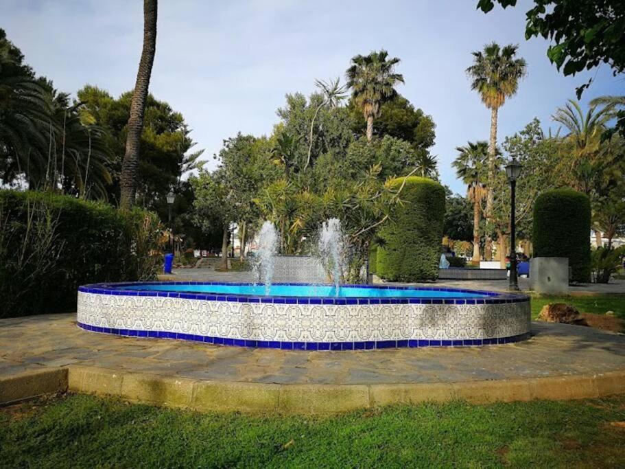 Beautiful Apartment With Patio Torrevieja Eksteriør billede