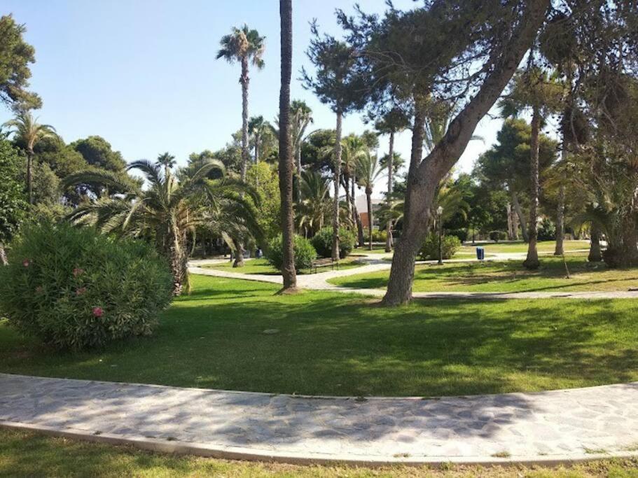 Beautiful Apartment With Patio Torrevieja Eksteriør billede