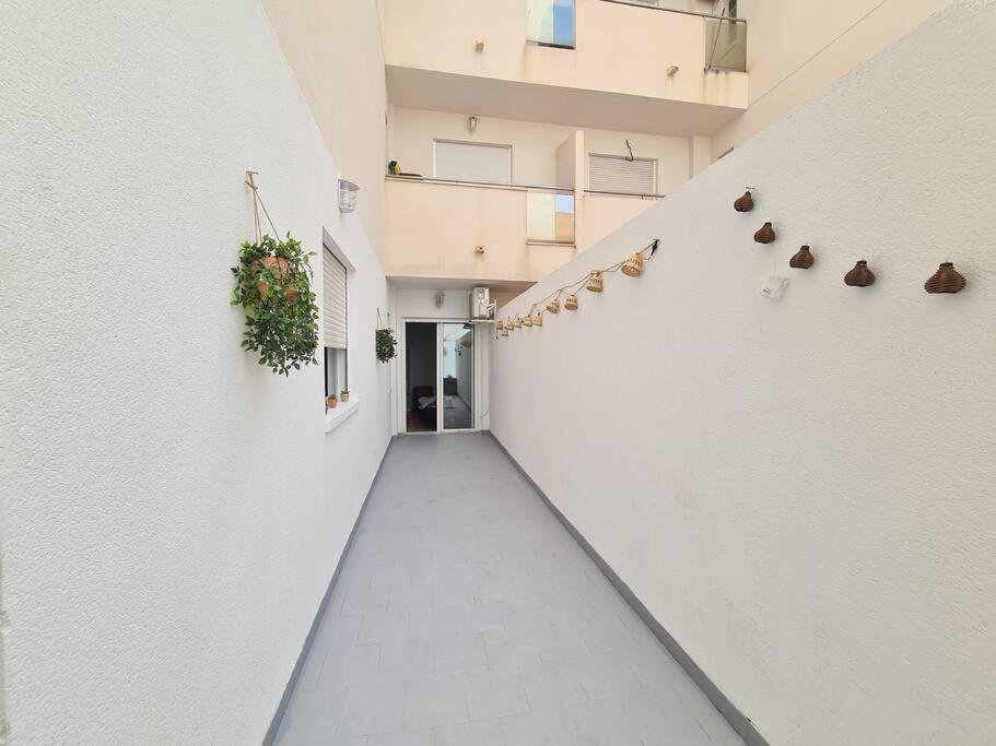 Beautiful Apartment With Patio Torrevieja Eksteriør billede