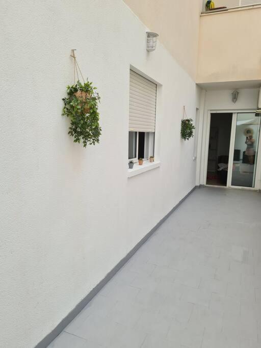 Beautiful Apartment With Patio Torrevieja Eksteriør billede
